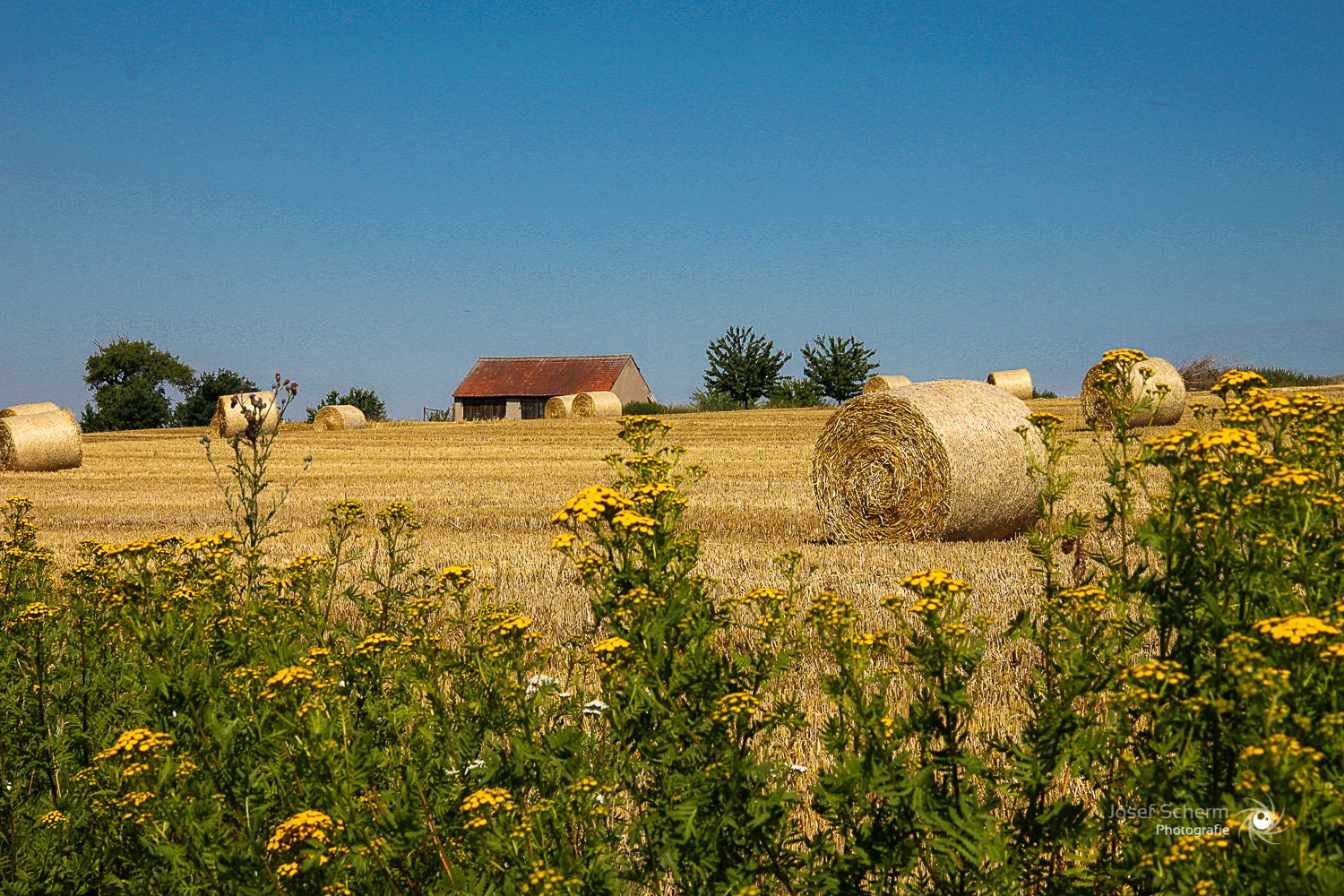 Dietenhofen